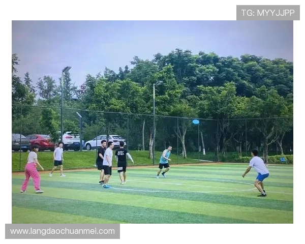 飞盘新手必看：从零基础到比赛高手的全面入门指南